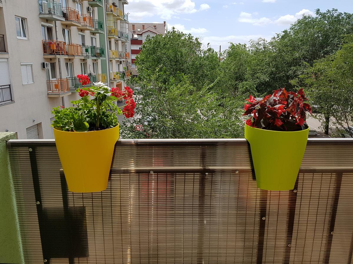 Apartman Boska Subotica Exterior foto